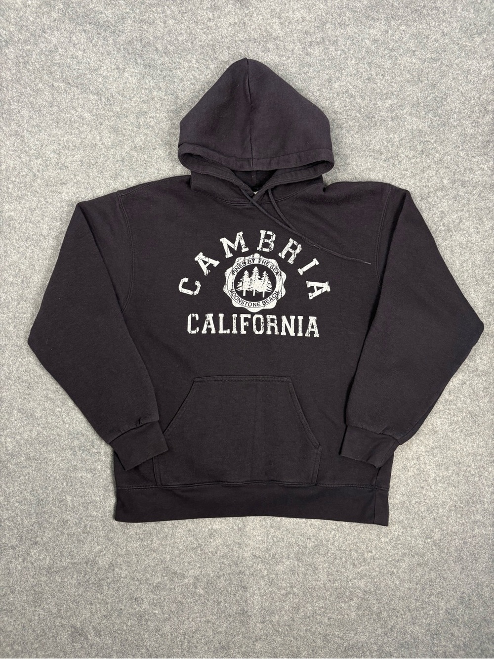 Cambria California Graphic Hoodie Moonstone Beach Men’s M